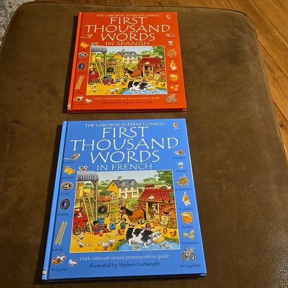 First Thousands Words in Spanish and French - Picture 1 of 7